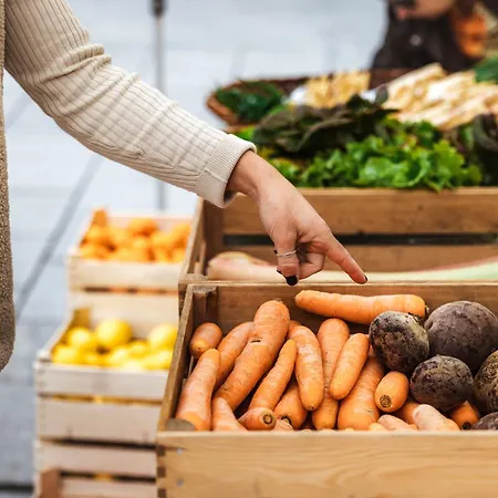 Deluxe Tirol * 兰德埃克